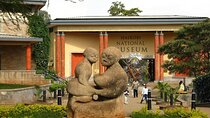 Nairobi National Museum and Snake Park Guided Tour