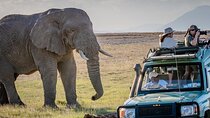 Amboseli National Park and Mount Kilimanjaro View Day Tour