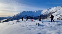 Snowshoe hiking in Bergen - Public tour