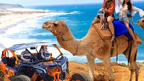 NEW! Combo Camel Beach Ride and UTV 4X4 Cabo Adventure, Tequila &