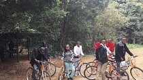 Nairobi Day Tour to Karura Forest 