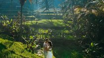 Private Bali Tour - Batur Volcano, Black Lava & Rice Terrace- All Inclusive