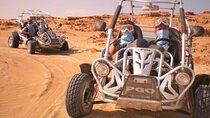 Dunes Quad or Buggy Tour In Agadir