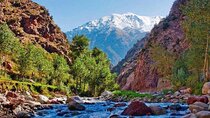 Excursion to the Ourika Valley