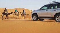 Full Day Jeep Tour to Agadir's Small Desert including Lunch 