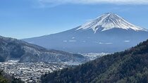 Mt FUJI - Panoramic Tour w/ Hoto Lunch, JP Sake & Onsen tatto OK!