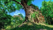 "Hidden Treasures: Beng Mealea and Sambor Prei Kuk Temple tours