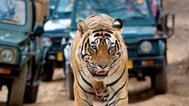 Taj Mahal & Tiger Safari: 2-Day Private Tour from Delhi