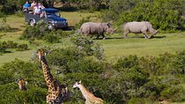 2 Day Small Group Garden Route Big 5 Safari Tour from Cape Town