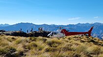 35-Minute Alpine Scenic Flight from Queenstown