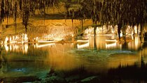 Caves Drach Boat Trip from Alcudia with Return Bus and Tickets 