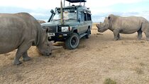 2 Days Sweetwaters Ol Pejeta Conservancy Safari from Nairobi