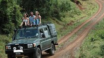 Aberdares National Park Luxury Lodge Safari 2 Days 1 Night Tour