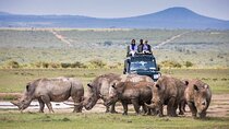 4 Days Aberdare and Samburu Safari on 4x4 Land Cruiser Jeep
