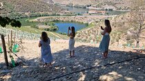 From Porto Visit the winery in the Douro Valley with pickup at the hotel