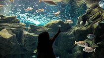 Private Trip From Rethymno Area to Dinosauria Park & Cretaquarium