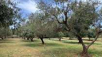 Kefalonia Farm Tour on E-Bikes
