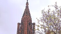 Guided Tours of Strasbourg Cathedral