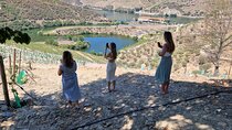 Douro Valley Tour: Wine Tasting River Cruise and Lunch from Porto