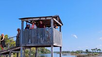 Karavasta Lagoon Adventure: Boat & Wildlife Tour from Durrës