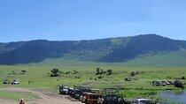 8-Days Private Luxury Safari: Tarangire, Serengeti & Ngorongoro