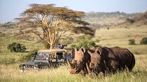4 Days Ol Pejeta Aberdare and Solio Ranch Safari on 4WD Jeep