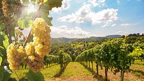 Private Wine Tour in the Tuscan Countryside from Florence