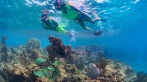 Key West Rum and Reggae: Reef Snorkel Adventure and Sunset Sail