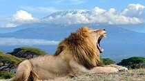 2 Day Amboseli National Park Safari Daily Departures