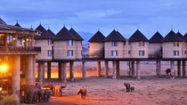 3 Days Saltlick And Tsavo West Luxury safari From Nairobi