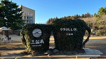 Round-trip transportation service to O`sulloc Tea Museum