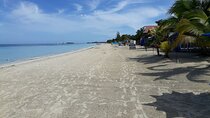 Negril 7 Miles Beach and Ricks Cafe Tour from Montego Bay 