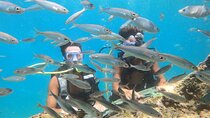 Scuba Diving Antalya with Boat Tours