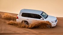 Evening Desert Safari Abu Dhabi with Hot BBQ Dinner 
