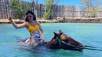 Horseback Riding in Montego Bay