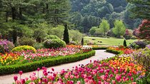 Full Day Private Tour Nami Island, Garden & Petite France
