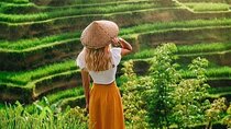 Best of Ubud Private Guide Tour with All Inclusive