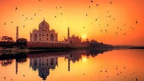 From Delhi: All-Inclusive Taj Mahal Sunrise & Agra Fort Private