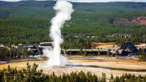 Yellowstone: Private Guided Tour