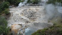 Private Tour Furnas Lake & Hot Springs