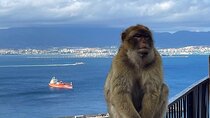 Gibraltar Private Daytrip From Malaga