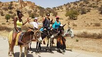 Private tour discovering Nature and History in Taroudant