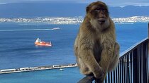 Gibraltar Private Daytrip From Sevilla