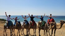 Morocco Express: Private Tour Tangier from Seville AllInclusive