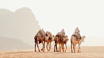 3 Day Desert Tour: Camel Trekking meets Off-Road Jeep Adventure