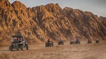 Marsa Alam Super Safari: Ride Quads, Camels& Dine Under the Stars