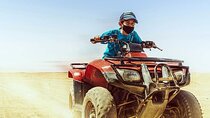 Quad Safari & Camel Ride in Sharm El-Shaikh 