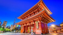Private Customizable Tour in Tokyo