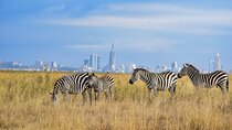 Private Overnight Masai Mara Safari Tour from Nairobi 4*4 Vehicle