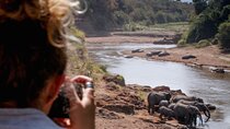2 Days Maasai Mara Magic Captivating Safari Experience 